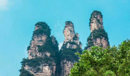 张家界吃瓜爆料事件,揭秘网络爆料的真相与争议